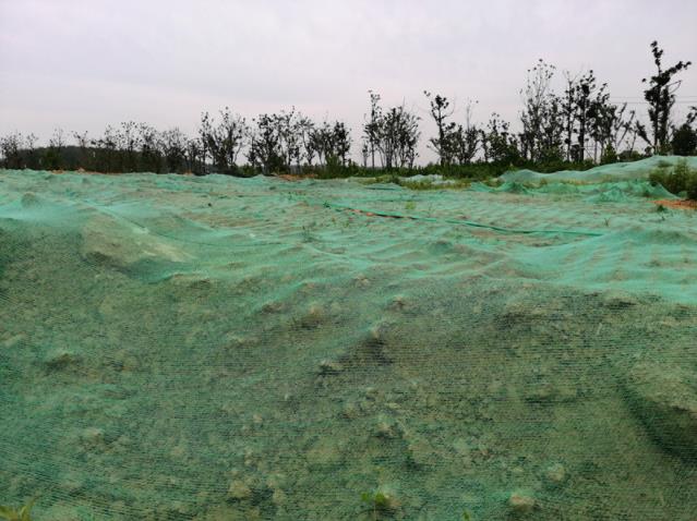 1642130842999365.jpg 9-1.jpg