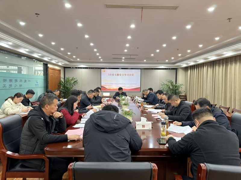 水建集团党总支开展三月份主题党日活动