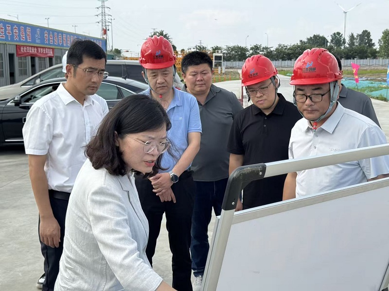 副市长杨芹芹赴汤庄镇视察指导绿色产业园项目